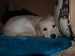 PC150056.JPG